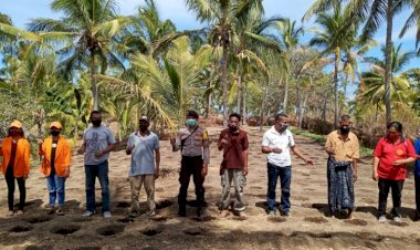 Bripka-Luis-Hadiri-Kegiatan-Penanaman-Bibit-Tomat-Pada-Lahan-Kelompok-Wanita-Tani-