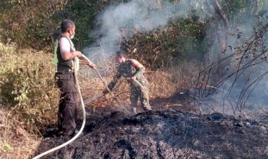 Anggota-Polsek-Wulanggitang-Bersama-Babinsa-Dan-Warga-Padamkan-Api-di-Hutan-Tutupan