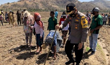 Bareng-Kelompok-Tani,-Kapolres-Belu-Tanam-Jagung-Dukung-Program-TJPS