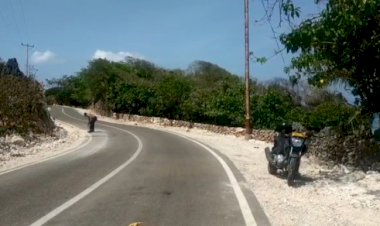 Saat-Amankan-Jalur-Kunjungan-Gubernur,-Personel-Polsek-Rote-Barat-Bersikan-Kerikil-di-Jalan-Demi-Keselamatan-lalulintas