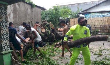 Bhabinkamtibmas-Desa-Gorontalo-Bantu-Warga-yang-Rumahnya-Tertimpa-Pohon-Tumbang
