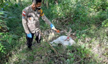Penemuan-Mayat-Bayi-Laki-Laki,-Kabidhumas-Polda-NTT:-Pelaku-Akan-Diproses-Secara-Tegas