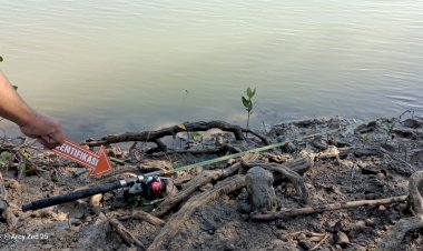 Seorang-Laki-Laki-Tewas-Digigit-Buaya,-Kabidhumas-Polda-NTT-Imbau-Masyarakat-Jauhi-Rawa