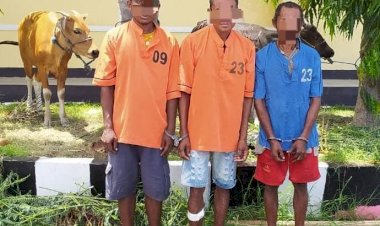 Polres-Kupang-Berhasil-Amankan-Pelaku-Pencurian-ternak
