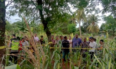 Polsek-Maulafa-Amankan-TKP-Penemuan-Mayat-di-Kebun-Jagung-Milik-Warga