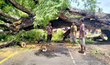 Bhabinkamtibmas-Leosama-Bantu-Warga-Evakuasi-Pohon-Tumbang-yang-Melintang-di-Jalur-Perbatasan-RI-RDTL