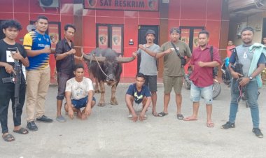 Polres-Sumba-Barat-berhasil-Amankan-Pelaku-Pencurian-Ternak-yang-Meresahkan-Masyarakat