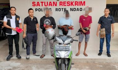 Penggerebekan-Judi-Sabung-Ayam-di-Desa-Oebatu,-Satreskrim--Polres-Rote-Ndao-Berhasil-Amankan-Tiga-Pelaku