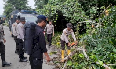 Personel-BKO-Polda-NTT-Bergandengan-Tangan-Bersama-Bersihkan-Jalan-dari-Pohon-Tumbang-di-Flotim