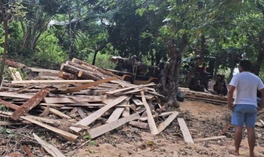 Polres-Rote-Ndao-Amankan-Tersangka-dan-Barang-Bukti-Kasus-Illegal-Logging-di-Hutan-Lindung-Oana