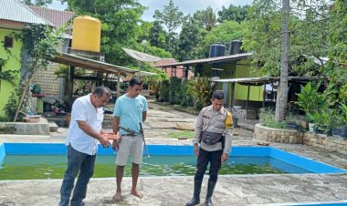 Bhabinkamtibmas-Polsek-Wanukaka-Dukung-Ketahanan-Pangan-Lewat-Budidaya-Ikan-Air-Tawar