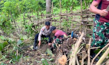 Sinergitas-Lestarikan-Alam,-Bhabinkamtibmas-Polres-Belu-Bersama-TNI-dan-Pemerintah-Desa-Gelar-Penghijauan-di-Desa-Tulakadi