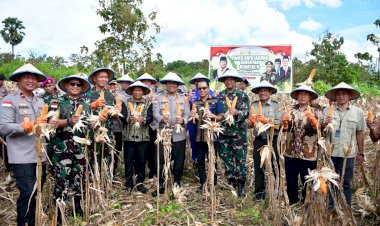 Kapolda-NTT-Pimpin-Panen-Raya-Jagung-Serentak,-Dorong-NTT-Jadi-Lumbung-Pangan-Nasional