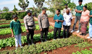 Tim-Juri-Mabes-Polri-Tinjau-Langsung-Lahan-P2B-Unggulan-di-Kupang-Tengah