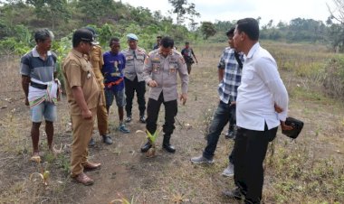 Kapolres-Sumba-Barat-Tinjau-Lahan-Jagung,-Wujud-Nyata-Dukungan-Ketahanan-Pangan