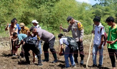 Tanam-Jagung-Bersama-Warga,-Polres-Sumba-Barat-Gaungkan-Semangat-Swasembada-Pangan