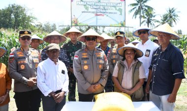 Kapolda-NTT-Lepas-Hasil-Panen-Jagung,-Bukti-Sinergi-Polri-dengan-Petani
