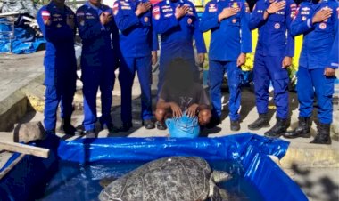 Ditpolairud-Polda-NTT-Amankan-Nelayan-Pelaku-Penangkapan-Penyu-Dilindungi-di-Perairan-Sikka