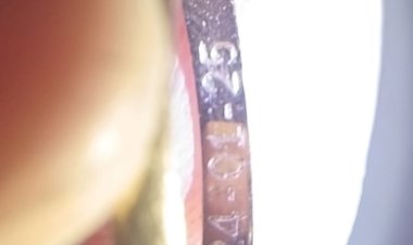 Perhatian-Penuh-Kapolda-NTT,-Kabid-Dokkes-Pastikan-Identifikasi-Jenazah-KM-Putri-Sakinah-Sesuai-Standar-DVI-Interpol