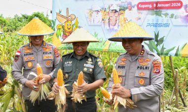 Produksi-Jagung-Polda-NTT-Tembus-Puluhan-Ribu-Ton-Sepanjang-2025