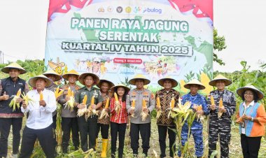 Kapolda-NTT-Pimpin-Panen-Raya-Jagung-Kuartal-IV-2025,-Perkuat-NTT-sebagai-Lumbung-Jagung-Nasional