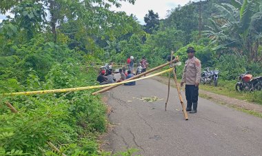 Polda-NTT-Imbau-Warga-Waspada-Cuaca-Ekstrem,-Bahu-Jalan-Trans-Utara-Ende-Terkikis-Air