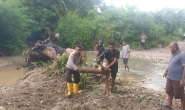 Akses-Jalan-Sulamu–Kupang-Sempat-Terhambat-Pohon-Tumbang,-Kapolda-NTT-Apresiasi-Gerak-Cepat-Bhabinkamtibmas-Desa-Pariti-dan-Peran-Aktif-Masyarakat
