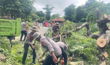 Aksi-Cepat-Brimob-Polda-NTT-Buka-Akses-Jalan-Warga-Rote-Ndao-yang-Tertutup-Pohon-Tumbang