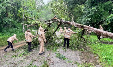 Polri-Hadir-untuk-Masyarakat,-Brimob-Polda-NTT-Bersihkan-Pohon-Tumbang-di-Jalur-Tanadaro