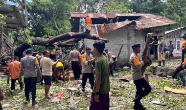 Brimob-Polda-NTT-Sigap-Tanggap-Pohon-Tumbang-di-Belu,-Dua-Rumah-Warga-Terdampak