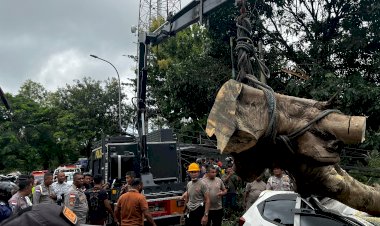 Respons-Cepat-Ditsamapta-Polda-NTT-Evakuasi-Pohon-Tumbang-Timpa-Mobil-di-Maulafa