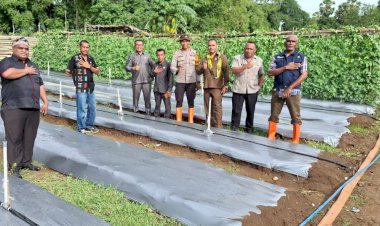 Sulap-Lahan-Pasir-Jadi-Sentra-Hortikultura,-DPRD-TTS-Turun-Tangan-Dukung-Program-Pekarangan-Pangan-Bergizi-Polsek-Kualin,-Kapolda-NTT-Beri-Apresiasi