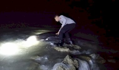 Gerak-Cepat-Polres-Rote-Ndao-Evakuasi-Paus-Pilot-Terjebak-di-Perairan-Dangkal,-Enam-Ekor-Berhasil-Diselamatkan