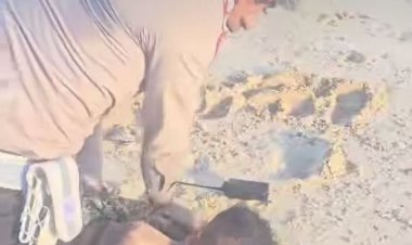 Aksi-Heroik-Polisi-di-Kupang:-Pelaku-Pencurian-Helm-Dibekuk-Usai-Nekat-Lompat-ke-Laut