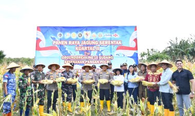 Di-Tengah-Hujan,-Kapolda-NTT-Pimpin-Semangat-Ketahanan-Pangan-Lewat-Panen-Raya-Jagung-2026