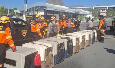 Misi-Kemanusiaan-Gempa-Flores,-Personel-Mabes-Polri-dan-10-K-9-Tiba-di-Ngada