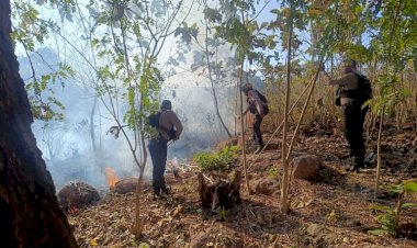 Gerak-Cepat-Polres-TTU-Padamkan-Karhutla-di-Hutan-Keun,-Warga-Diimbau-Waspadai-Titik-Api