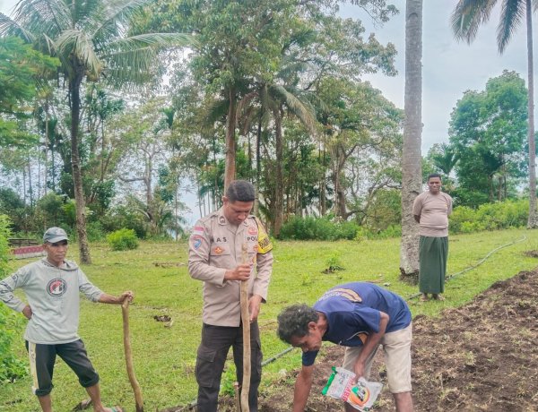 Dukungan Polda NTT untuk Ketahanan Pangan: 2,5 Hektar Lahan Baru di Rindiawo Ende Ditanami Jagung