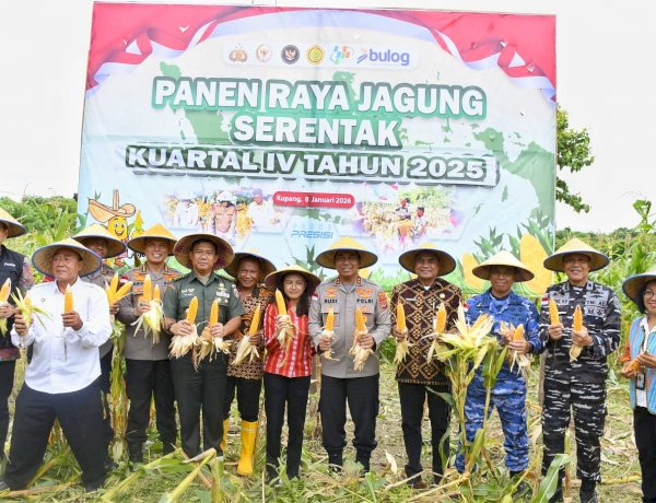 Kapolda NTT Pimpin Panen Raya Jagung Kuartal IV 2025, Perkuat NTT sebagai Lumbung Jagung Nasional