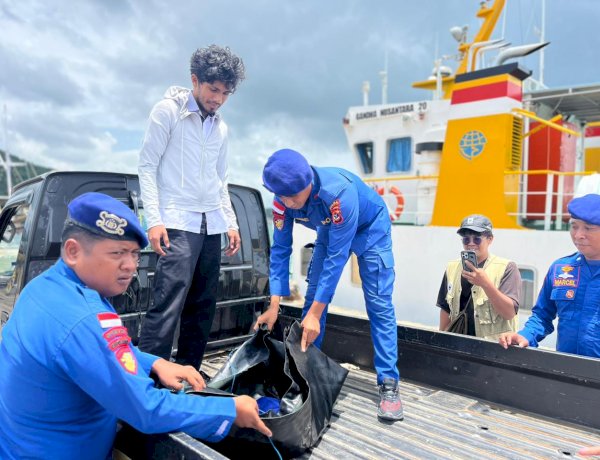 Ditpolairud Polda NTT Selamatkan Penyu Sisik di Perairan Labuan Bajo
