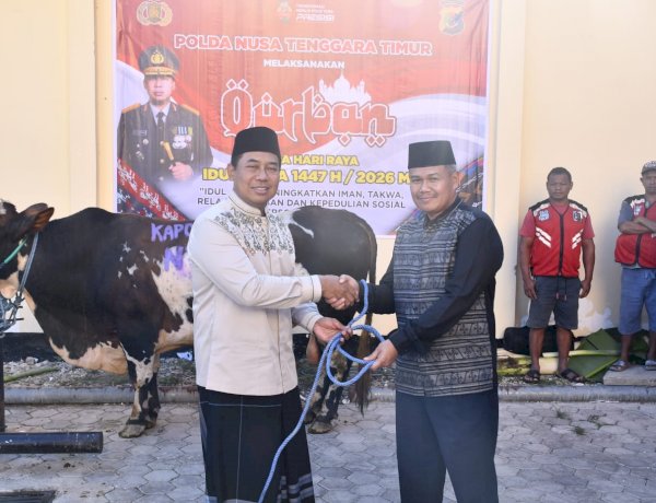 Kapolda NTT Pimpin Penyaluran 148 Hewan Kurban Idul Adha 1447 H untuk Masyarakat di NTT