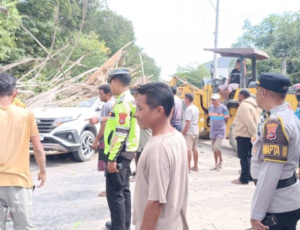 Sigap Tangani Pohon Tumbang Akibat Angin Kencang, Polres Kupang Imbau Masyarakat Tingkatkan Kewaspadaan