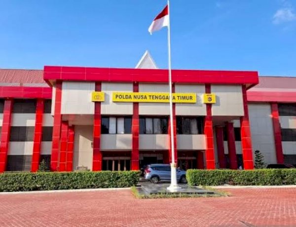 Polda NTT Dalami Dugaan Penyimpangan Kuota Sapi di TTS, Penyidik Masih Kumpulkan Fakta Hukum