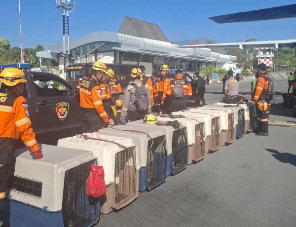 Misi Kemanusiaan Gempa Flores, Personel Mabes Polri dan 10 K-9 Tiba di Ngada