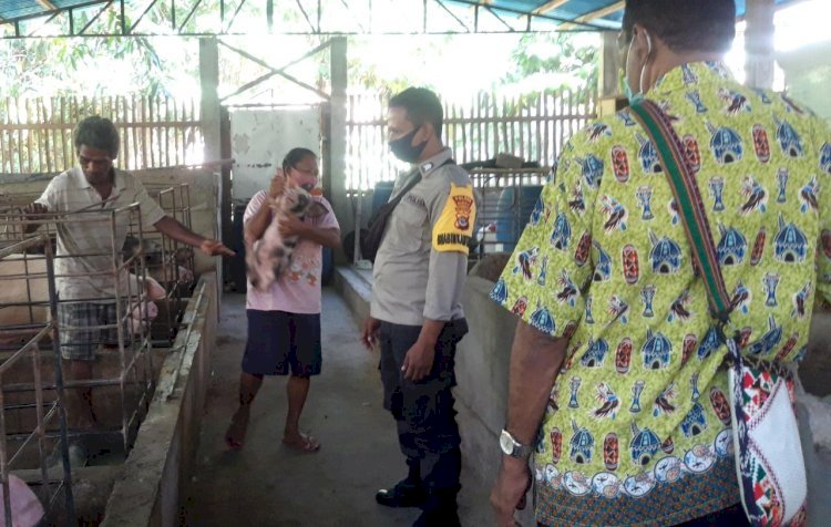 Waspadai African Swine Fever (ASF), Bripka Istanto Sambangi Kelompok Ternak Di Dusun Natar Lorong