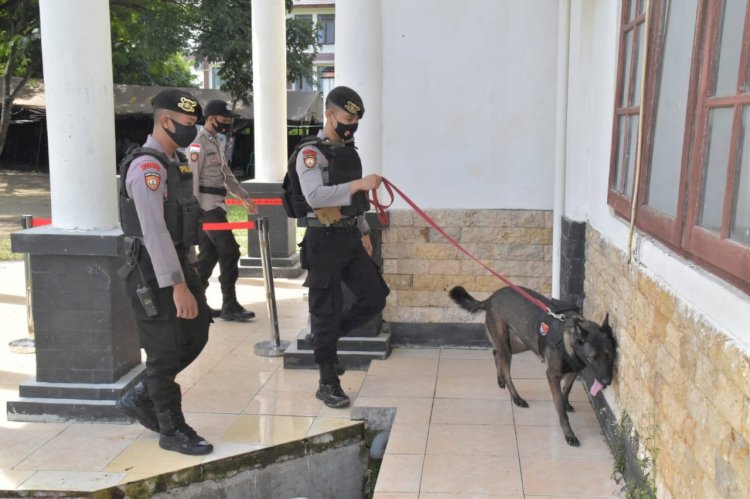 Rekapitulasi Penetapan dan Perhitungan Suara, Anjing Pelacak K9 dilibatkan Sterilkan Kantor KPUD Manggarai Barat