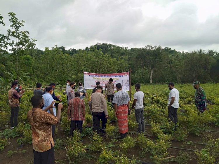 Wakapolres TTU Launching Kampung Tangguh Ketahanan Pangan Nusantara di Desa Lokomea