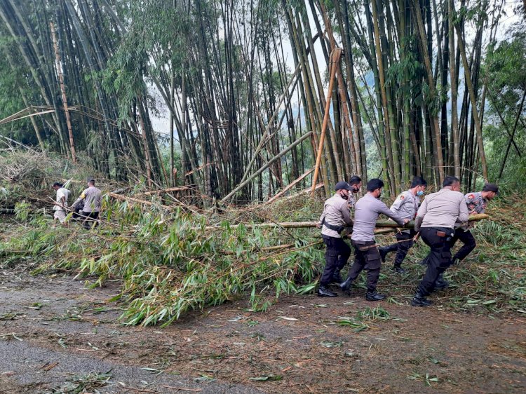 Polres Ngada Bersama Instansi Terkait Bersih Puing-puing Pepohonan Yang Tumbang Akibat Bencana Alam