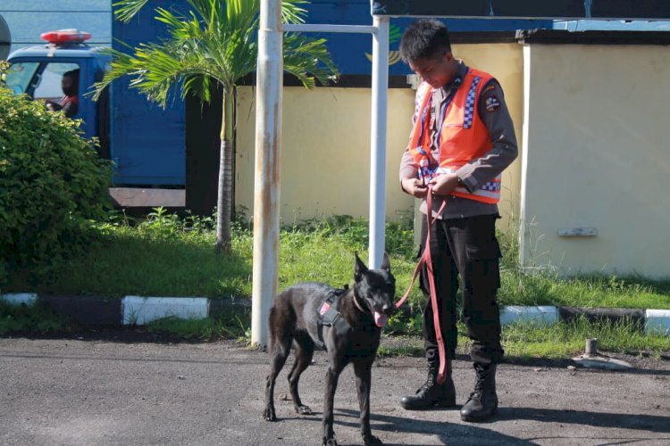 Polri Turunkan 6 Anjing Pelacak Bantu Cari Korban Bencana di Lembata dan Adonara