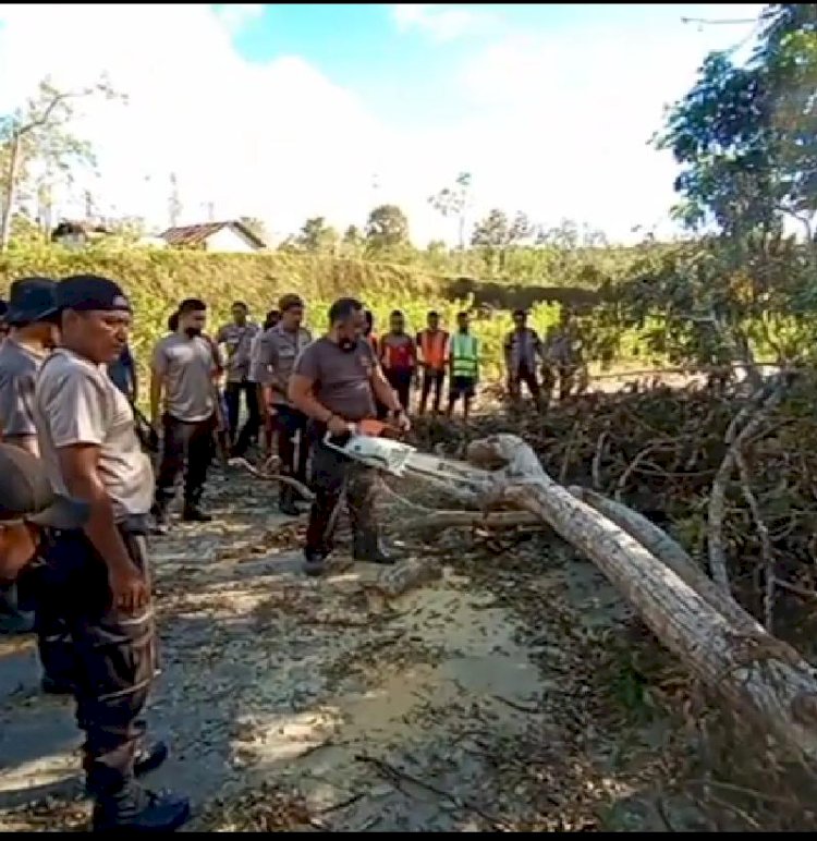Personil Polres Kupang Kota Evakuasi Pohon Tumbang Yang Menutupi Jalan